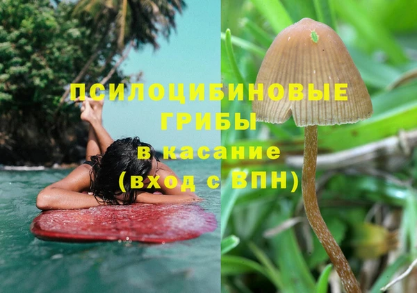 крисы Алексин