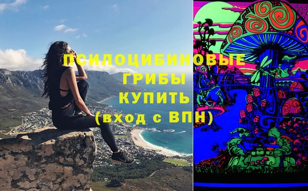 мяу мяу мука Нягань