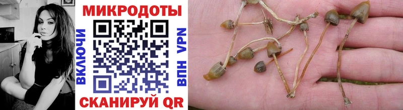 Псилоцибиновые грибы мицелий  Лобня 